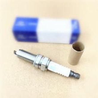 BUJIAS ROSCA L/DELGADO